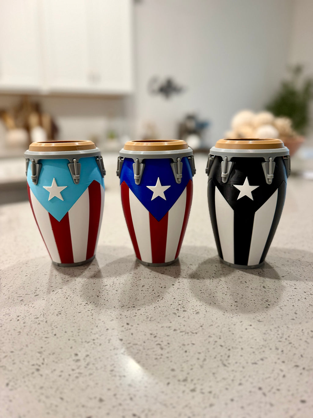 Puerto Rico Conga Can Holder